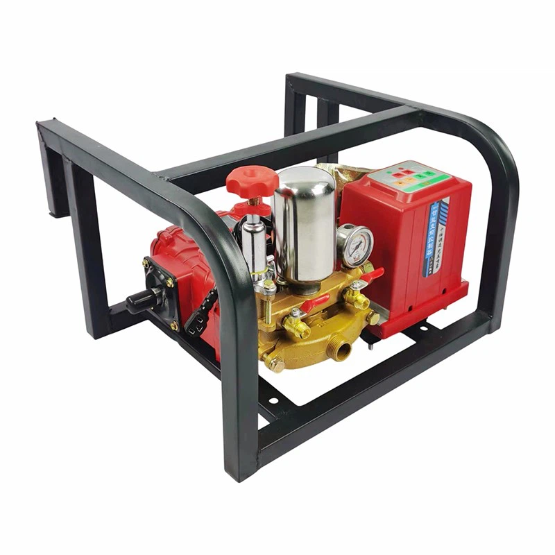 product-800-800